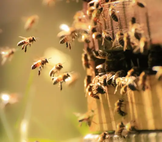 KASTEN odstartoval realizaci zakázky pro VÚVČ v Máslovicích