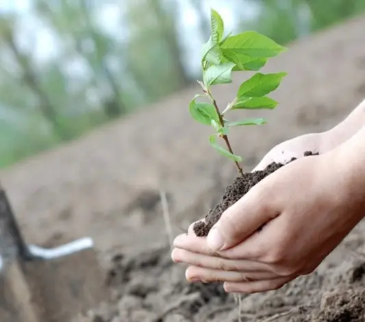 Jarní setkání na Větrné - stromy, slunce a gril 
