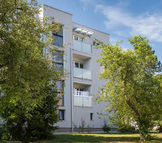 Panelák 2.0. Komfort a investice